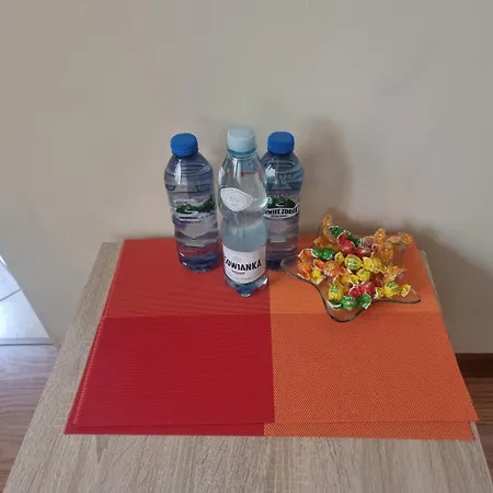 Na Przymorzu 公寓 格但斯克