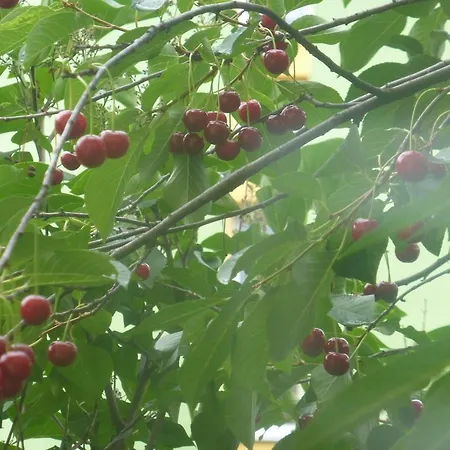 Apartamento Na Przymorzu