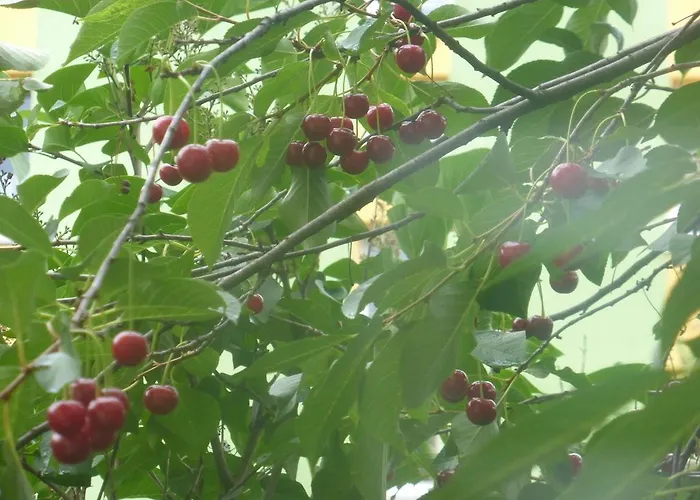 Lejlighed Na Przymorzu